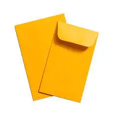 Envelopsy